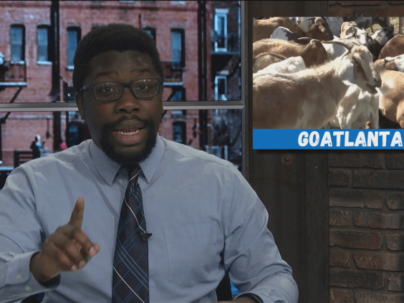 What Did We Miss? Goats run loose in&nbsp;Atlanta